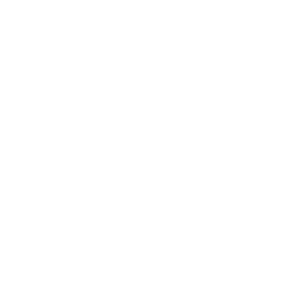 Prancheta 1