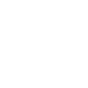 Prancheta 13