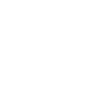 Prancheta 16