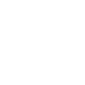 Prancheta 2