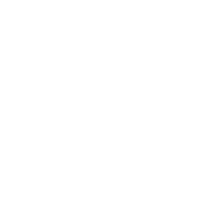 Prancheta 9
